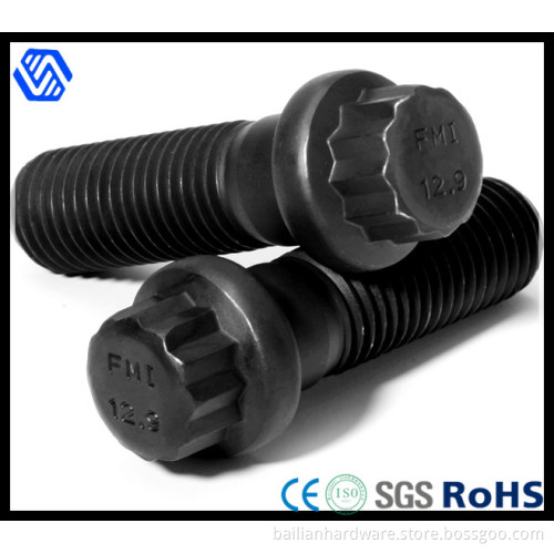 12 Point Bolt